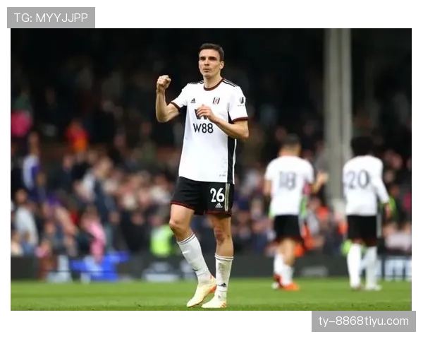 抢断机器：帕利尼亚的核心标签解析