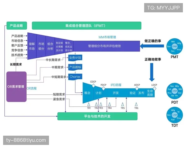 维尔茨与厄德高:组织核心的效率差异与作用机制解析 维尔茨与厄德高:组织核心的效率差异与作用机制解析